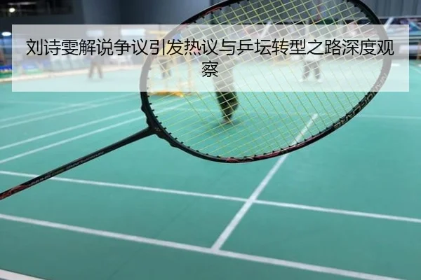 刘诗雯解说争议引发热议与乒坛转型之路深度观察